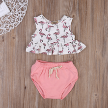 Load image into Gallery viewer, Flamingo Crop Top Bloomers Outfit