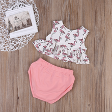 Load image into Gallery viewer, Flamingo Crop Top Bloomers Outfit