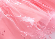 Load image into Gallery viewer, Lace Tutu Princess Dress