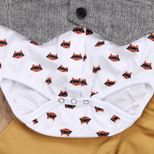 Load image into Gallery viewer, Formal Fox Outfit